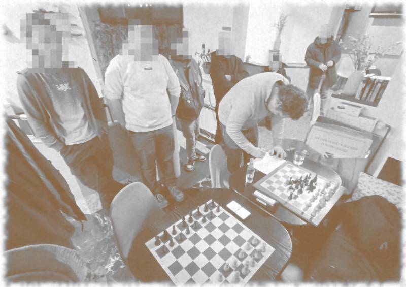 thirteen participants